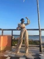 Plt brown snake printed satin wide leg trouser